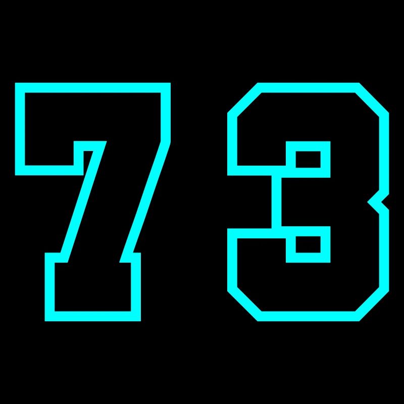73 Number Symbol