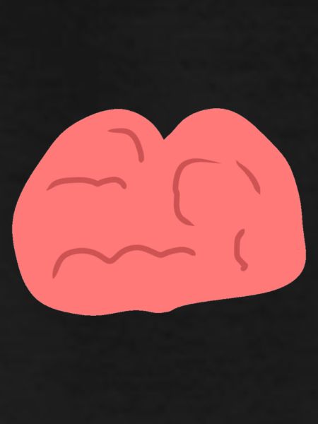 Head Symbol Brain