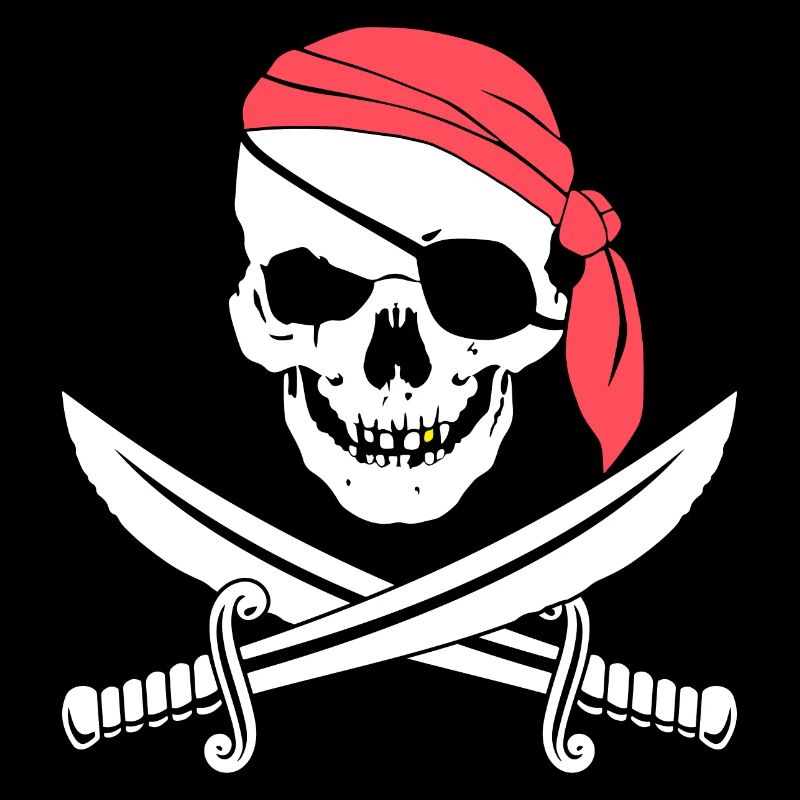 Jolly Roger Lets Get Shipwrecked Pirate