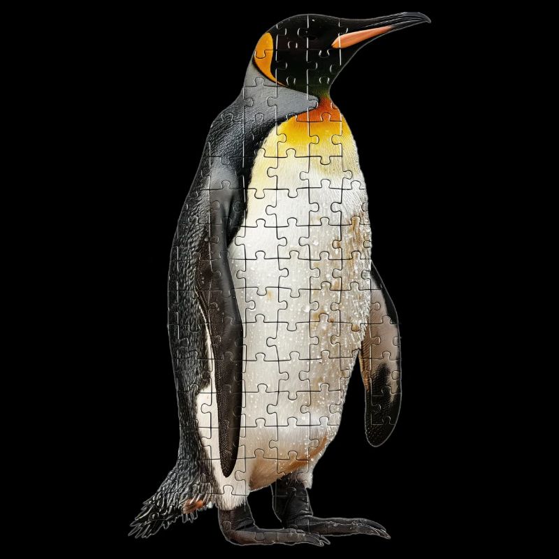 Pingouin