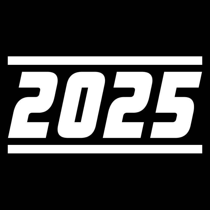 2025 year