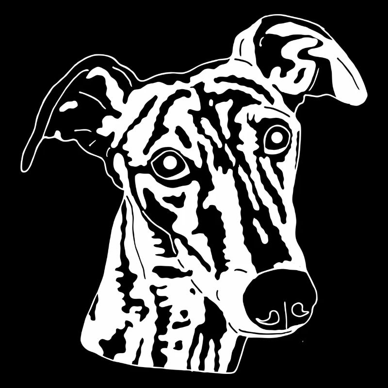 Galgo