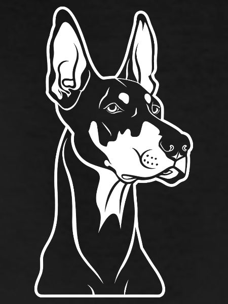 Dobermann