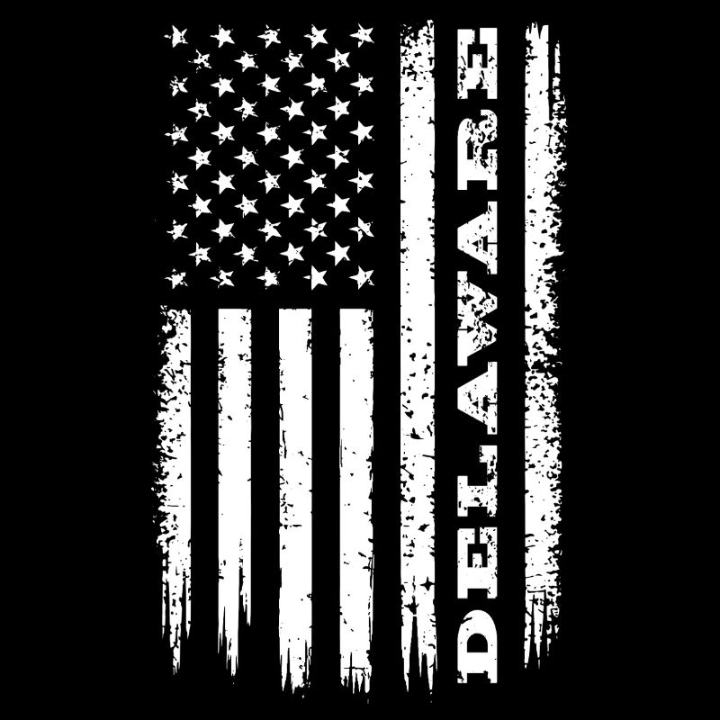 Flag USA Delaware State Gift