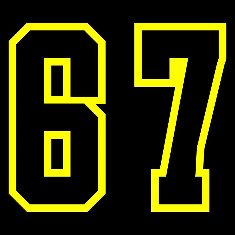 67 Number Leotard