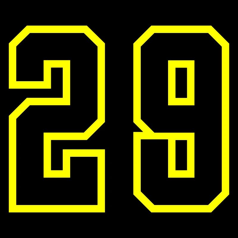 29 Number Jersey