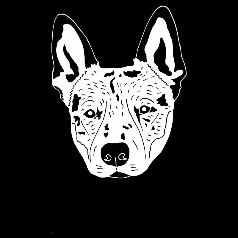 Cattledog