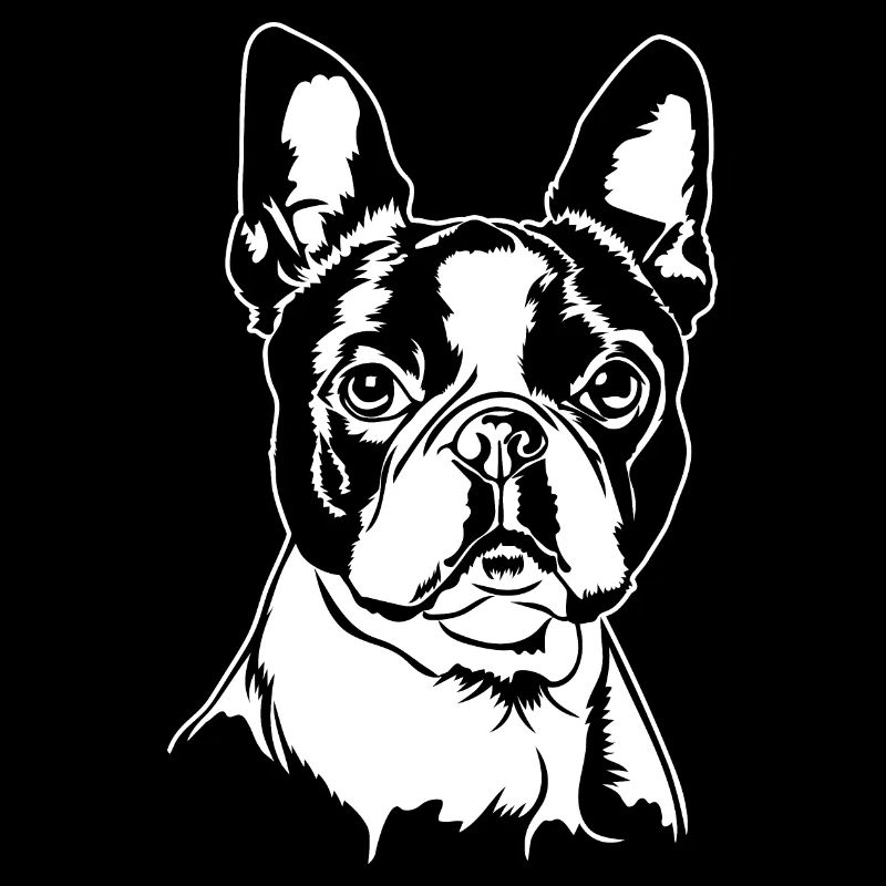 BOSTON TERRIER Portrait Hunde Wilsigns