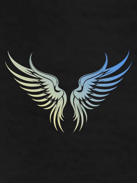 Wings icon