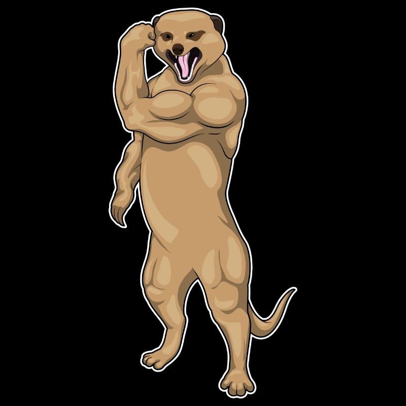Suricate Bodybuilder Musculation