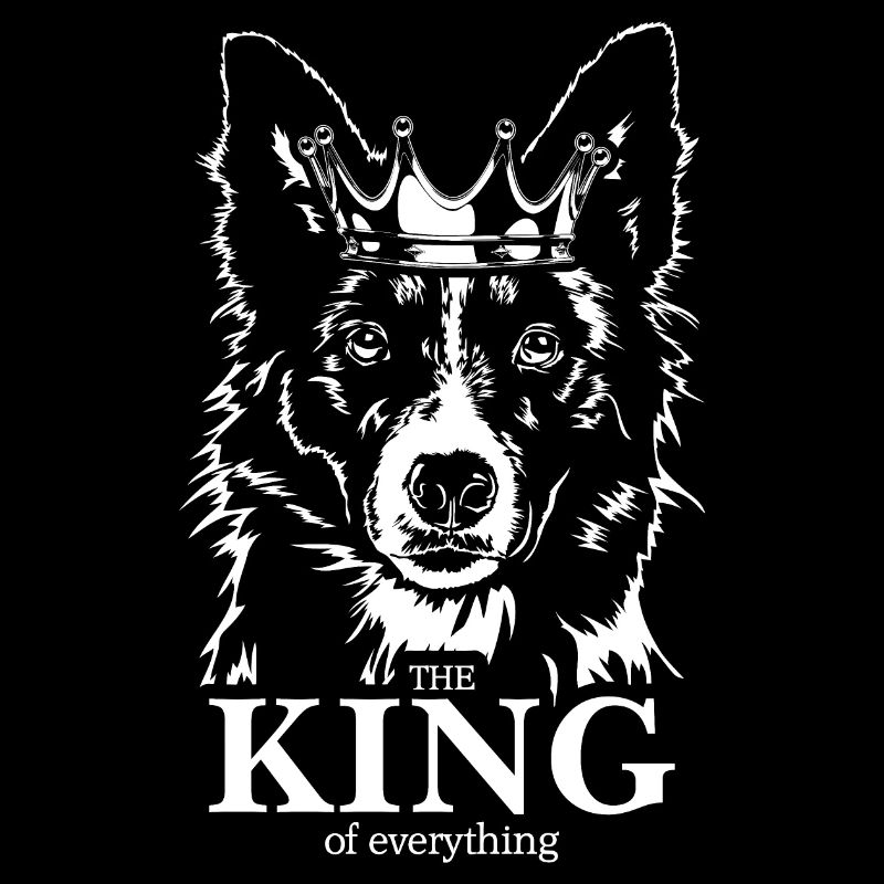 BORDER COLLIE King Hundespruch Hunde Wilsigns