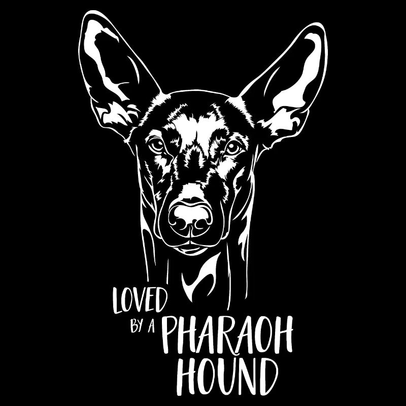 Aimé par un chien de chasse pharaon Chien Dicton