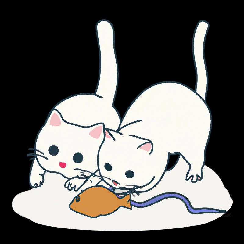 Two playing cats