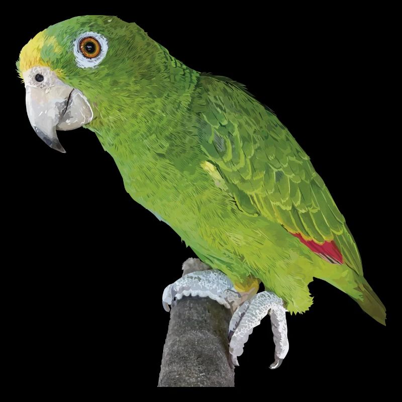 Der Amazonas-Königspapagei