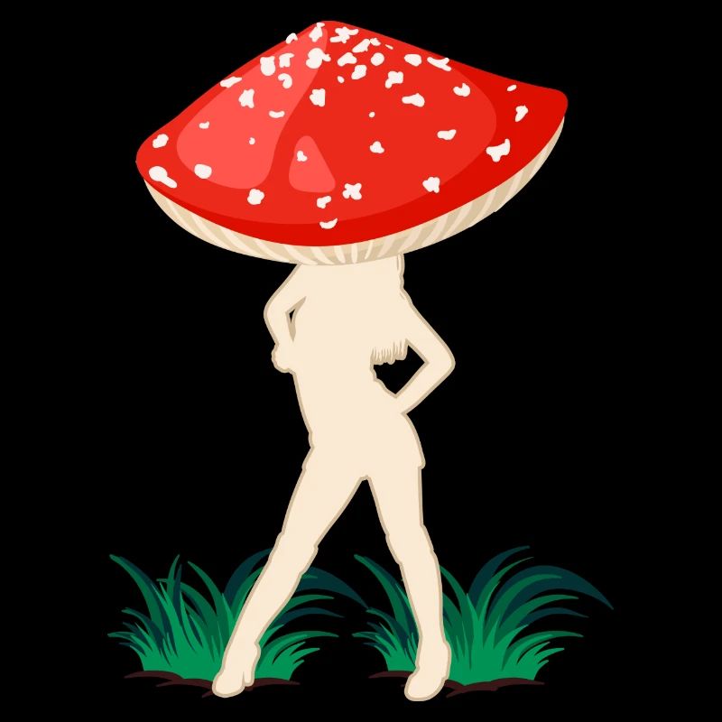 champignons mouche agaric fée mouche agaric cueilleur de champignons agaric