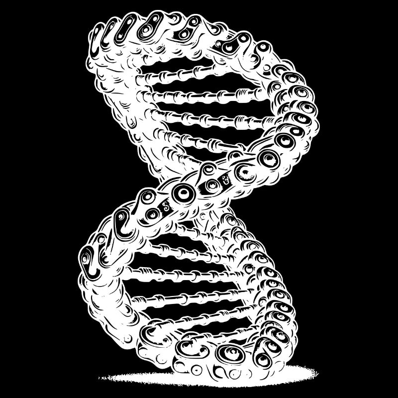 Möbius Loop Curved Chains DNA