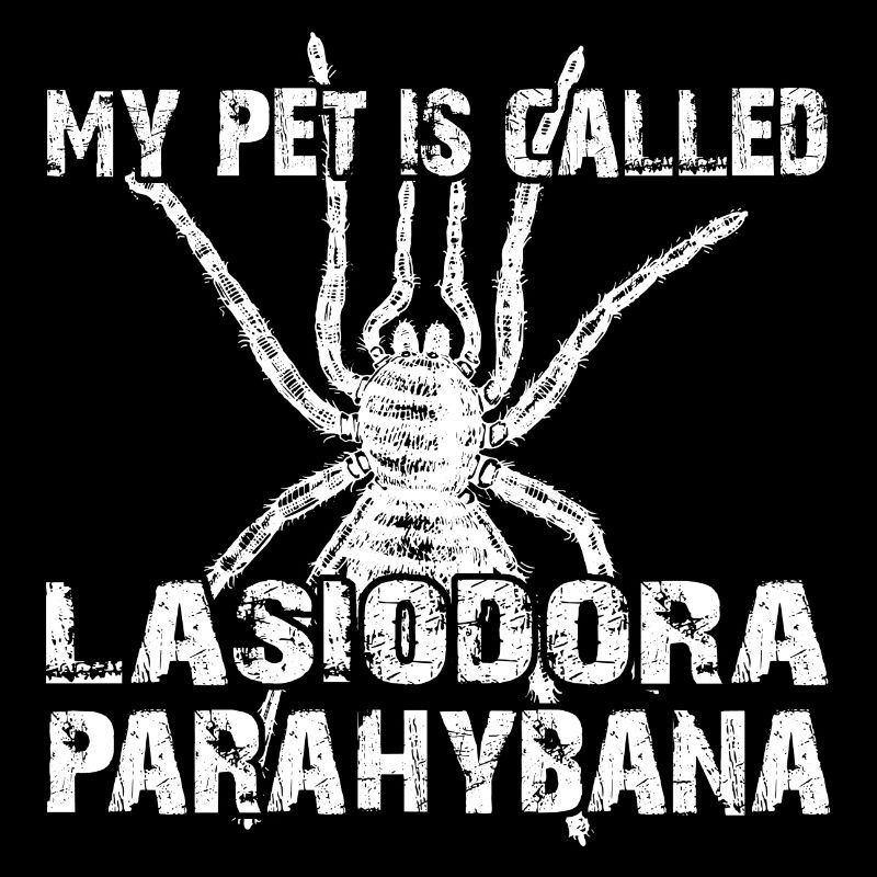 My pet's name is Lasiodora Parahybana