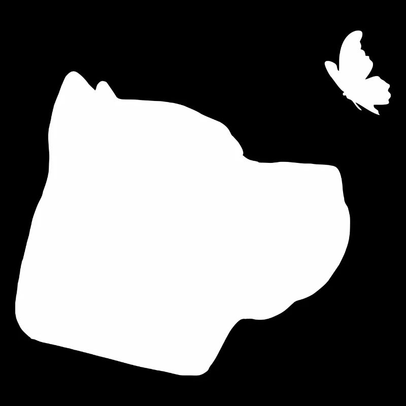 Cane Corso mit Schmetterling