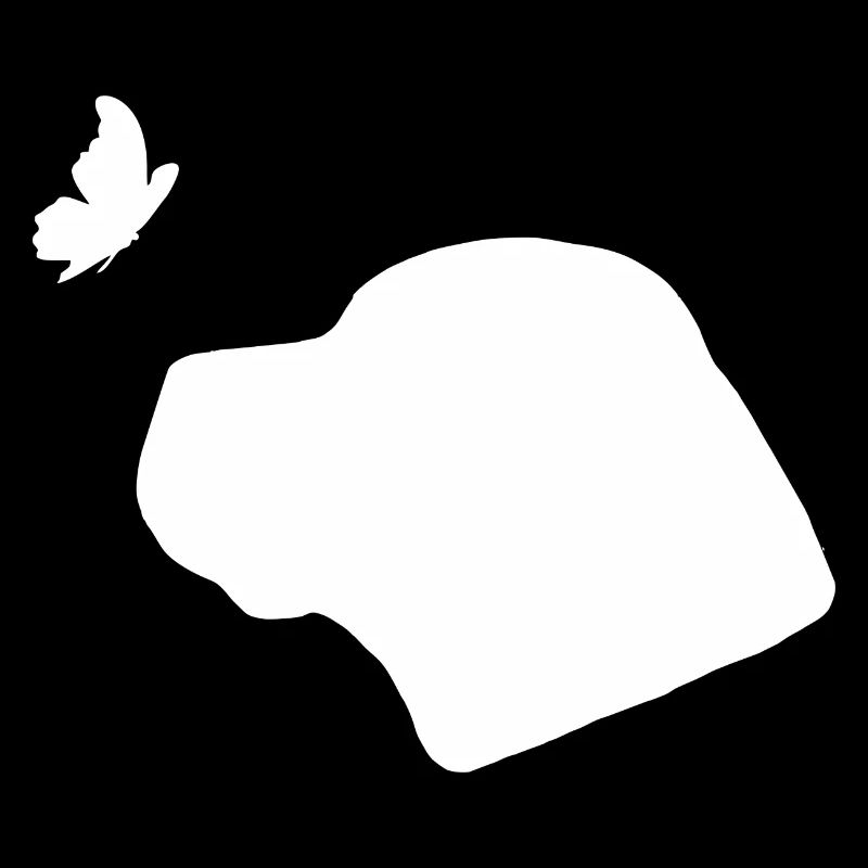 Cane Corso mit Schmetterling