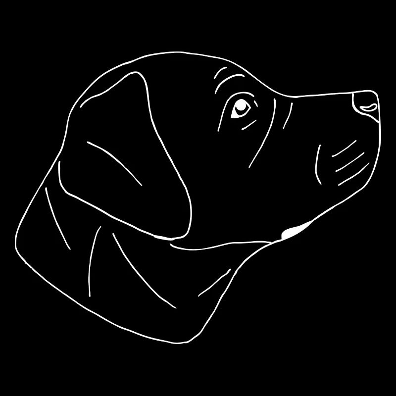 Super süßer Labrador