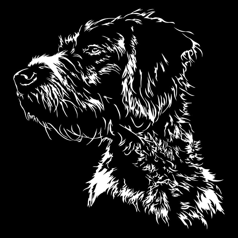 DEUTSCH DRAHTHAAR Wilsigns Jagdhund Jagdhunde