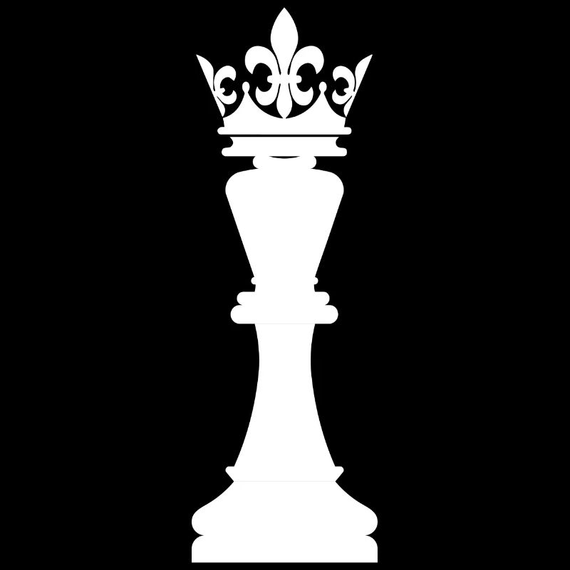 Jeu de société Chess Backgammon Game Night