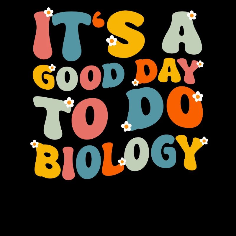 Enseignant Professeur d’école Enseignant Enseignant