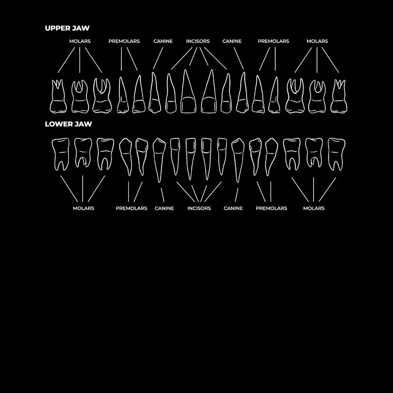 Dentist Dental Assistant Teeth