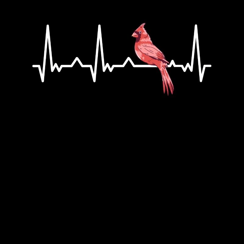 Kardinal Rotkardinal Vogel Roter Kardinal