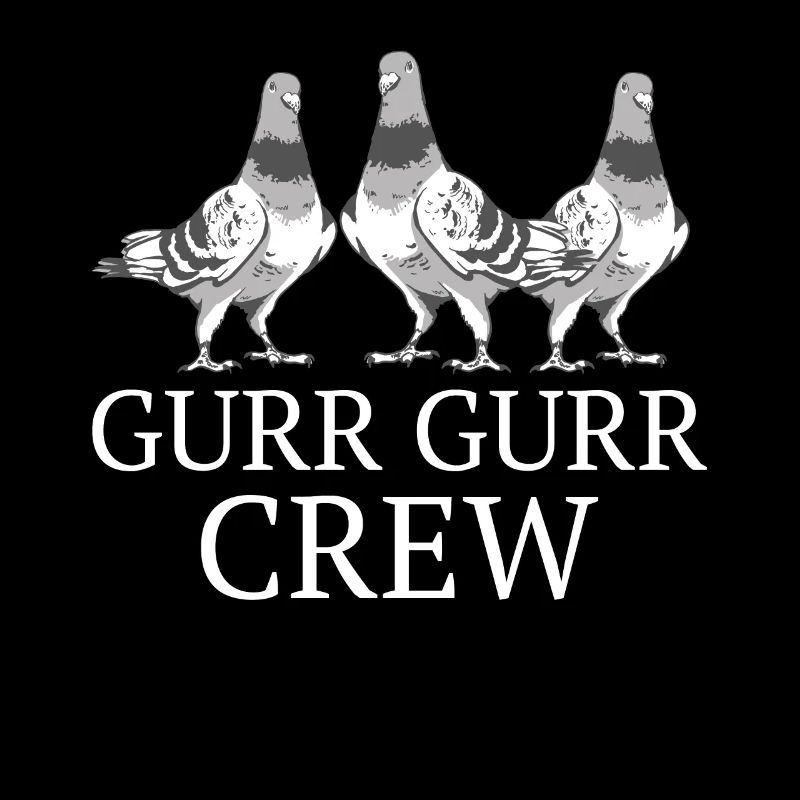 Taube Tauben Tier Vogel