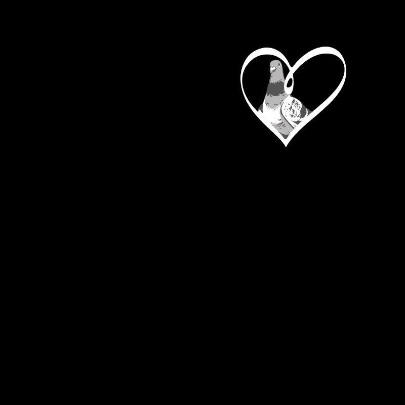 Taube Tauben Tier Vogel