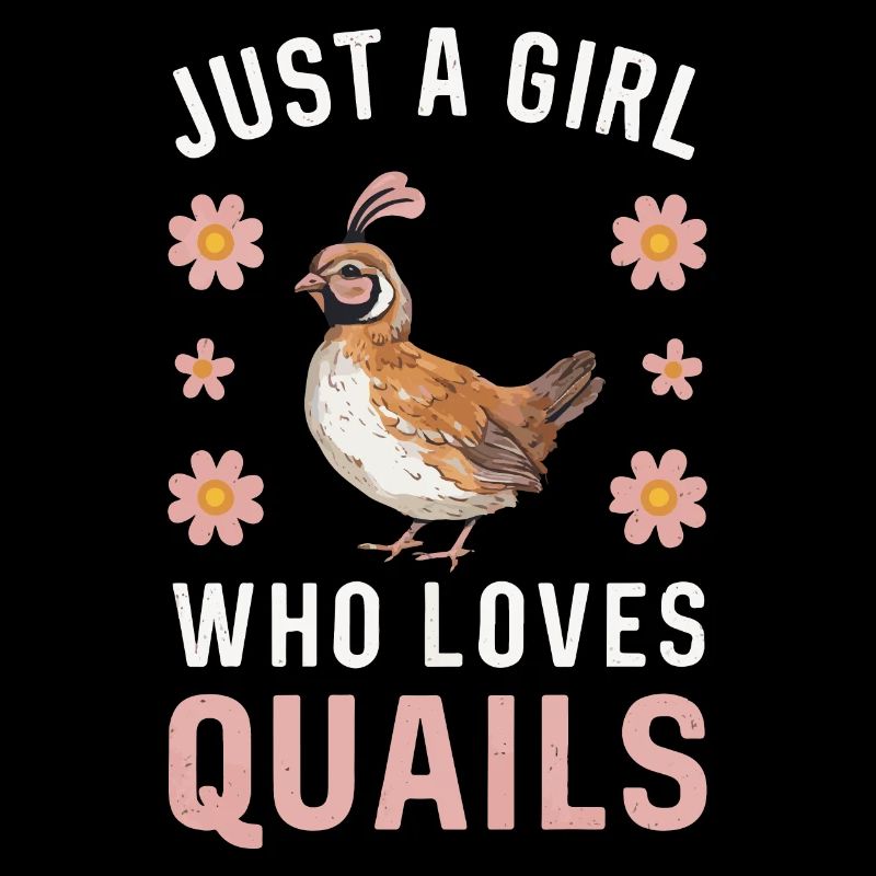 Quail Bird Quails