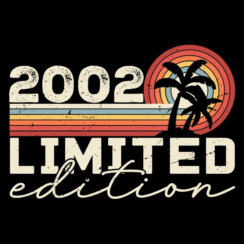 Vintage 2002 Retro 2002 Anniversary Gift