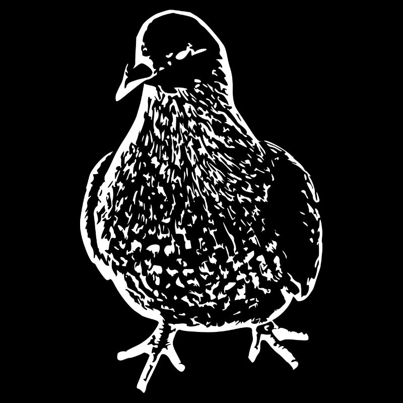 Bird white