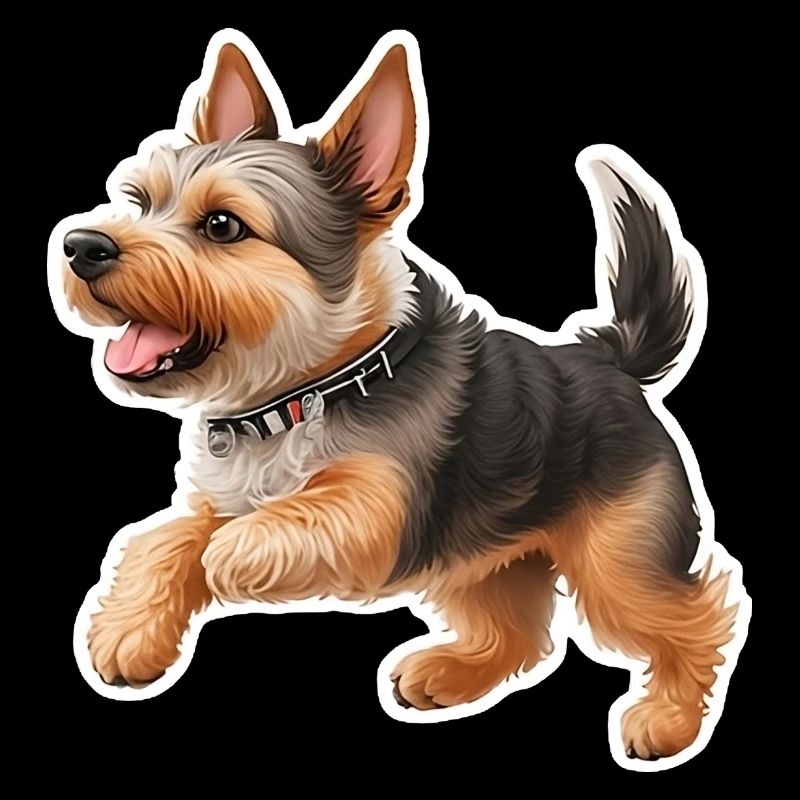 Yorkshire Terrier