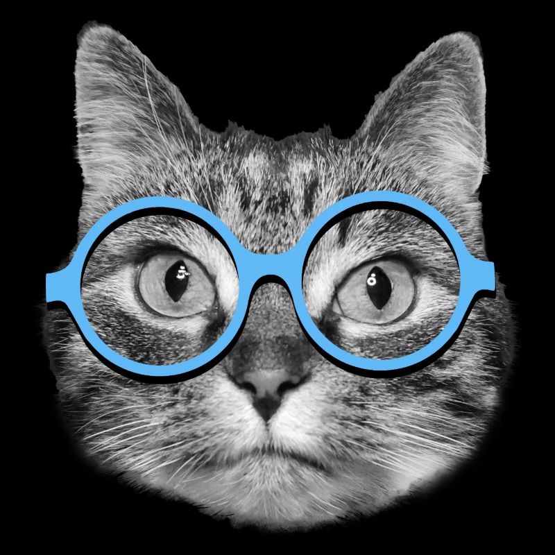 Cat wearing blue eyeglasses