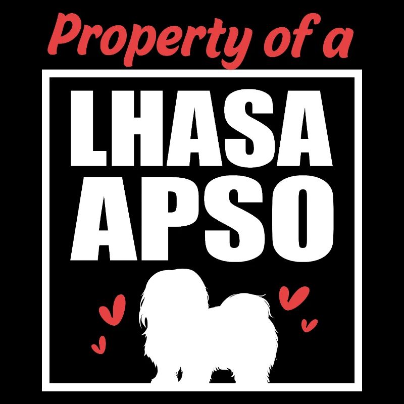Lhasa Apso Hund