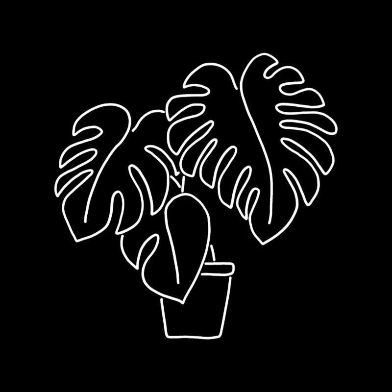 Plante d’intérieur