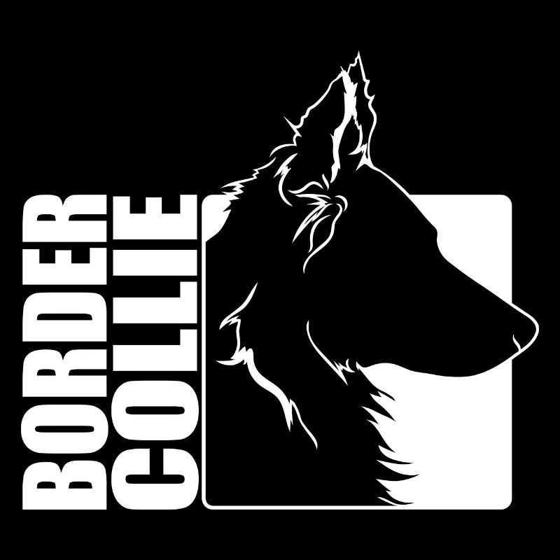 Border Collie Profil Hunde Hund Wilsigns