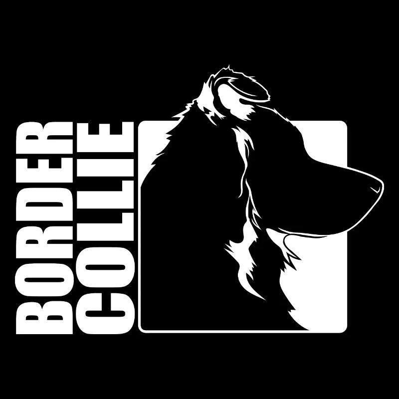 Border Collie Profil Hunde Hund Wilsigns