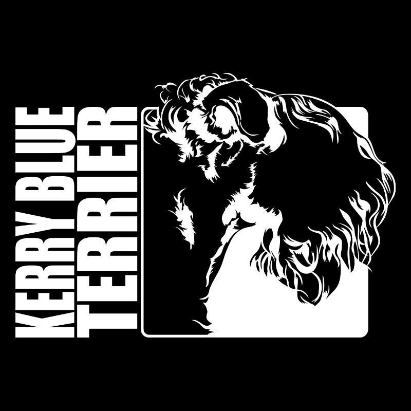 Kerry Blue Terrier Profil Chien Chiens Wilsigns