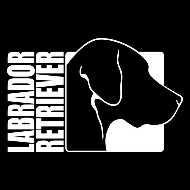 Labrador Retriever Profil Labbi Hunde Wilsigns