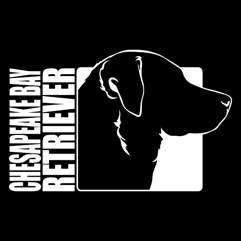 Chesapeake Bay Retriever Profile Dogs Wilsigns