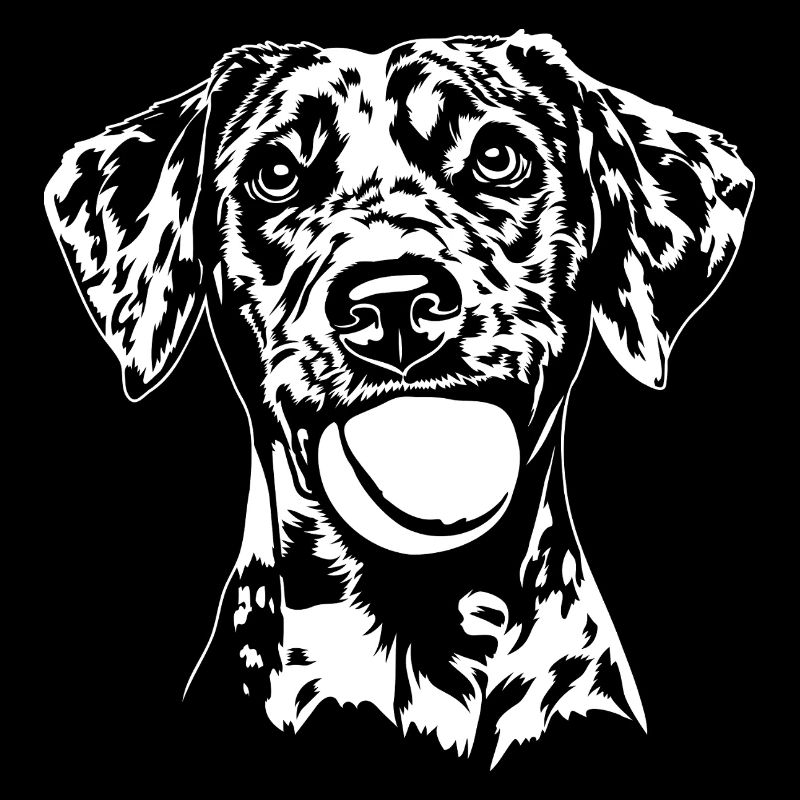 Catahoula Leopard Dog Hunde Hund Wilsigns
