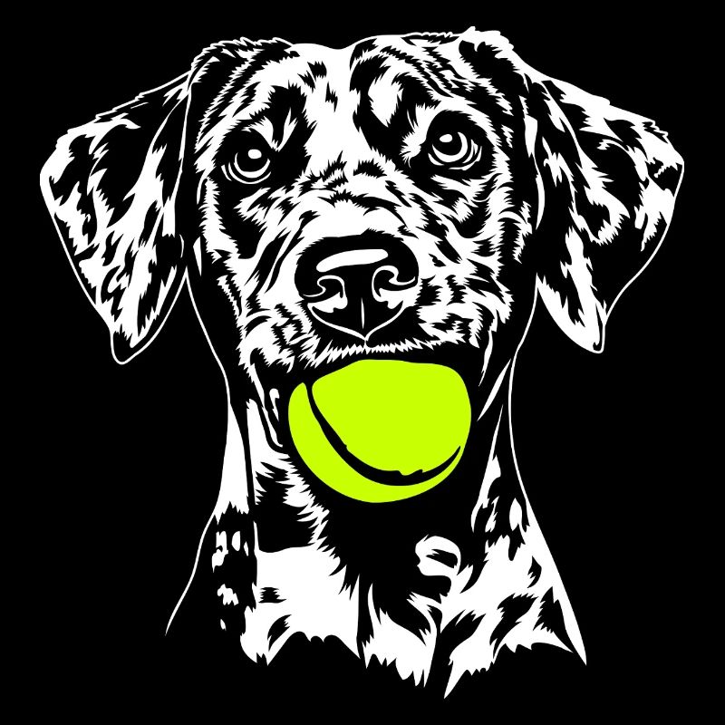 Catahoula Chien Léopard Hunde Hund Wilsigns