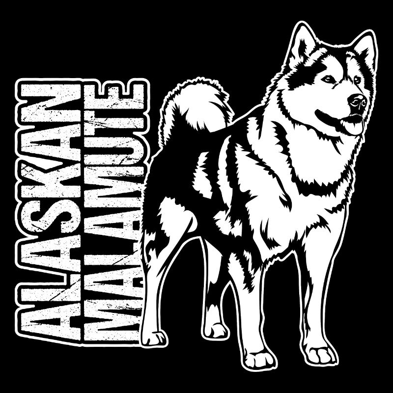 ALASKAN MALAMUTE Portrait Wilsign’s Sled Dog