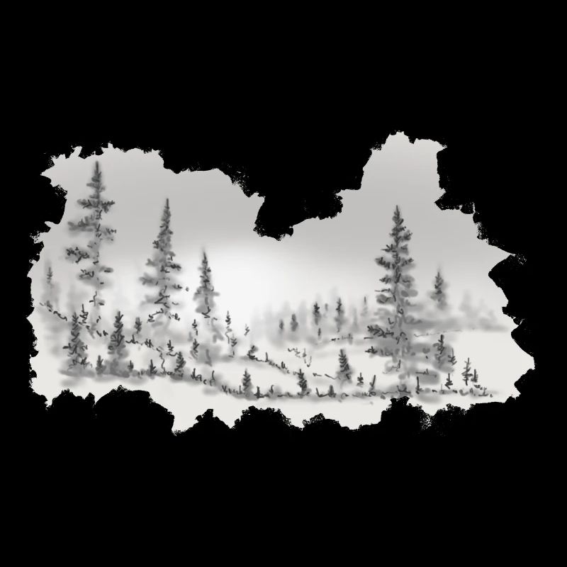 Winter forest in back light.