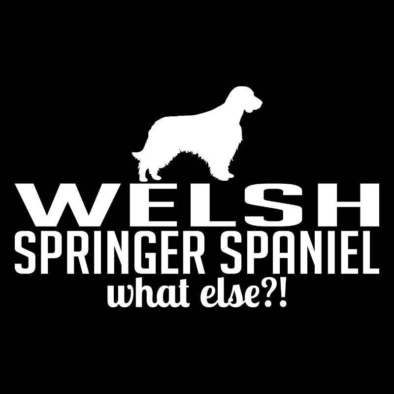 WELSH SPRINGER SPANIEL quoi d’autre Chiens Wilsigns