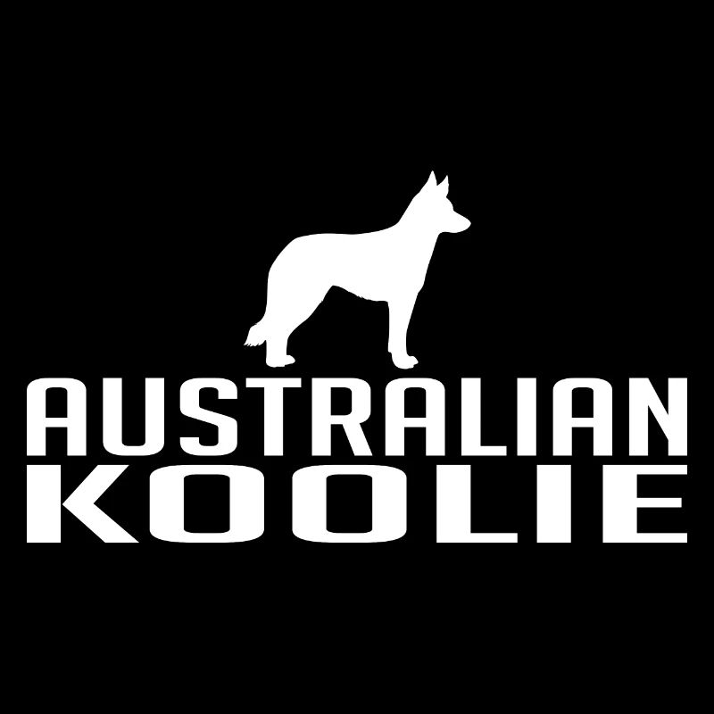 Australian Koolie Dog Breed Dogs Wilsigns