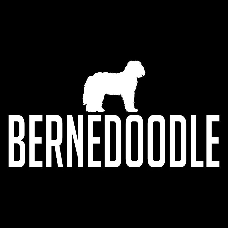 Bernedoodle Race de chiens Chiens Wilsigns